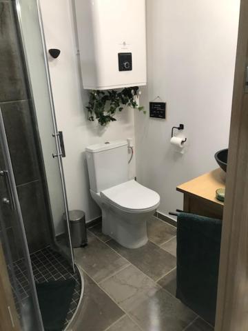 La Brindille Petit Mas Provencal Meuble De Tourisme 3 Etoiles 2-3 Personnes 1 Piece 30 M2 Tout Confort Lisiere Foret Jardin Jacuzzi Piscine Saint-Paul-en-Forêt المظهر الخارجي الصورة