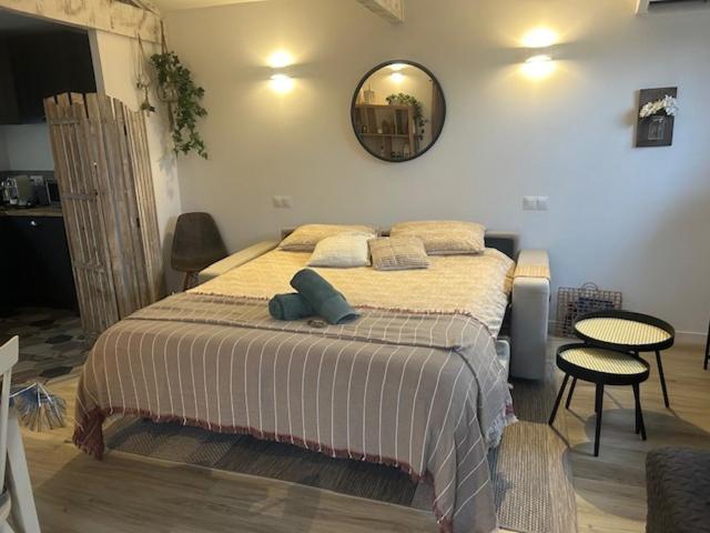 La Brindille Petit Mas Provencal Meuble De Tourisme 3 Etoiles 2-3 Personnes 1 Piece 30 M2 Tout Confort Lisiere Foret Jardin Jacuzzi Piscine Saint-Paul-en-Forêt المظهر الخارجي الصورة