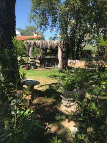 La Brindille Petit Mas Provencal Meuble De Tourisme 3 Etoiles 2-3 Personnes 1 Piece 30 M2 Tout Confort Lisiere Foret Jardin Jacuzzi Piscine Saint-Paul-en-Forêt المظهر الخارجي الصورة